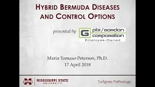 Hybrid Bermuda Diseases and Control Options