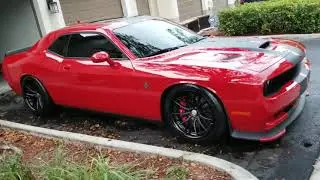 On the VWS2 FROM VOSSENS HELLCAT