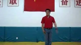 Referee Hand Signals & Instructions