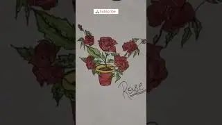 Beautiful Rose  Drawing Beautiful Rose Romantic Drawing