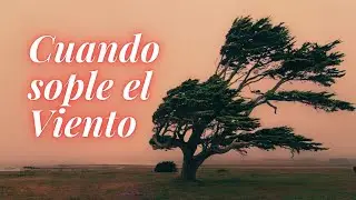 Cuando sople el viento Bat (Tino - cover Daniel Amaya)