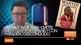 Liberación de alias -Cmdte. Willy- libre por España y con paradero conocido