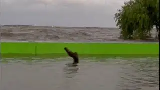 Punta Lara al borde del desborde: sigue creciendo el R&iacute;o de la Plata y ya evacuaron a 70 personas