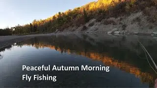 Relaxing Autumn Morning Dry Fly Fishing (Elbow River, Calgary)