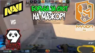 NAVI vs 9PANDAS | PGL Major | EU Closed Qualifier | CS2