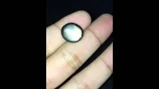 11.23ct Natural Cabochon Black Star Sapphire Thailand #W