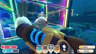 AM I THE FIRST PERSON TO FIND THE RINGTAIL SLIME???