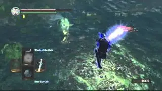 Forest hunter pvp