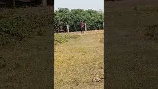 সঠিক বোলিং গ্রিপ (Correct Bowling Grip)#cricket #shortsfeed #shorts
