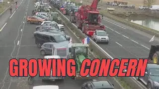 European Farmers Protest: Concerns Over Global Food Crisis