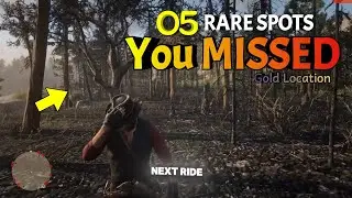 The Game WON'T Tell You These 5 Secret Spots in RDR2!😲