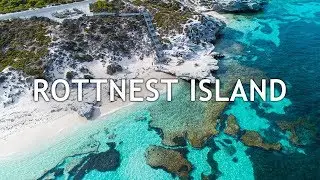 PARADISE ON EARTH | A Day Trip in Rottnest Island | Perth