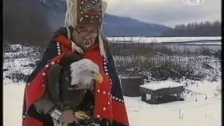 Vissza a vadonba - fehérfejű rétisasok repatriálása. (2.)