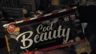 Cool Beauty | Wolff Vuurwerk | 20 & 25 MM | 44 Shots