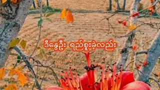 နှုတ်ဆက်မယ့်နွေ - ထူးအိမ်သင် (Lyrics Video)