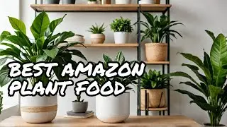 The Best Plant Food found on Amazon #amazonfinds #plants
