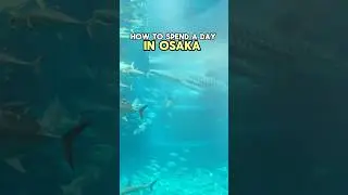 How to spend a day in Osaka
