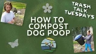 How To Compost Dog Poop