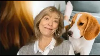 Pet Friendly Interior Design