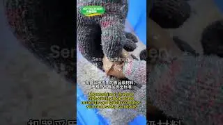 Seny automatic coxinha kubba making machine