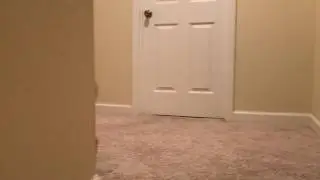 Savage Level 100