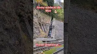 Jimmy entdeckt die Welt immer unterwegs f&uuml;r neues folgen Sie uns 🐕