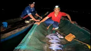 Đ&ecirc;m Lưới Của Anh Em Ngư D&acirc;n S&ocirc;ng Tiền Thật Vui #66TV #sănbắtđồngth&aacute;p #mekongriverfish