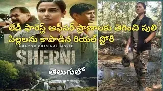 Sherni full movie explained in telugu | vidya balan sherni full movie explained |@prana-f9d