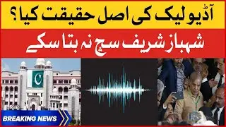 Shehbaz Sharif Audio Leak Shocking Revelations | PM House Recording Leak | Breaking News
