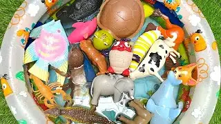 amazing ocean animals fun sea creatures for kids names facts with colorful toys
