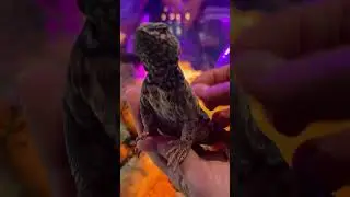 Наш тгк: Zoostore_Malinki