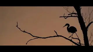 Lake Roland Park -- MICA Fall 2025 Student Film