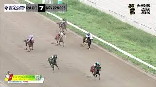 RACE 7 - NOVEMBER 22, 2025 (POSITIVE REVIEW)