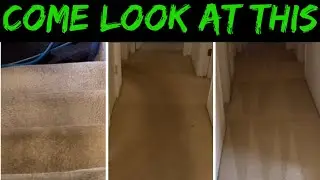 Extremely Dirty/Heavy Soiled Carpets - Amazing Transformation “ASMR”
