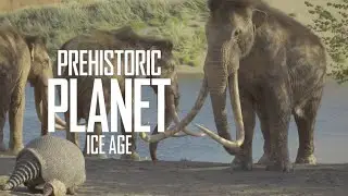 Columbian Mammoth confronts a Glyptotherium | Prehistoric Planet: Ice Age | Official Clip