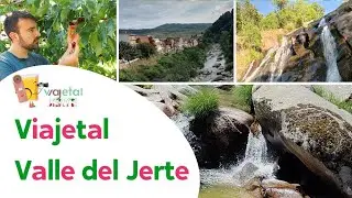 Valle del Jerte. Cereza, picota ¿qué comer y visitar?