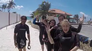 SeaBob Tours Aruba