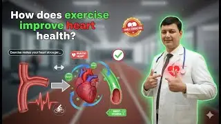How does exercise improve heart health?
