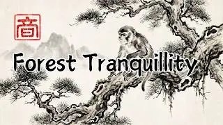 1 Hour of Traditional Chinese Music with European Strings | Calm Focus & Study