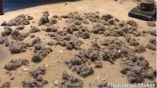 Bissell All My Dirt Mess Test