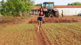 O INVERNO CHEGOU!, TODOS COMEÇAM A PLANTAR NO CEARÁ!😅😱🌿