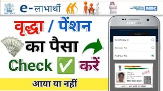 Pension Ka Paisa Check Kaise Kare Online 2025 ! E Labharthi Payment Status Check ✅ 