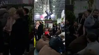 РЭД ЭКСПО 2024. #развлечения  #cosplay #кудасходить #отдых #festival #рэдэкспо #gaming #игры