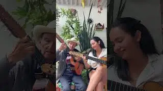 Marianita(rumba)-Jos&eacute; segundo Castellanos #m&uacute;sicacolombiana  #requinto #tiple #rumba #folclore
