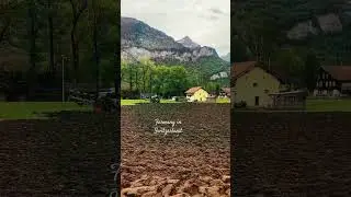 Farming in Switzerland 🇨🇭#countryside #farming #schweiz #nature
