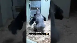 I Couldn&rsquo;t Believe My Eyes 🤨