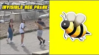 Imaginary Bee SCARE Prank