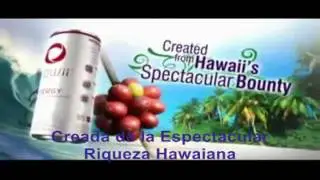 Xowii Intro.flv