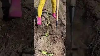 Rural Farmer #911
