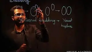 🔥 NEET POINTS 🔥 🔴 Budding 🔴 Class 12 📚  #FreeOnlineClasses #IndianEduKings #DrshaikMahmood